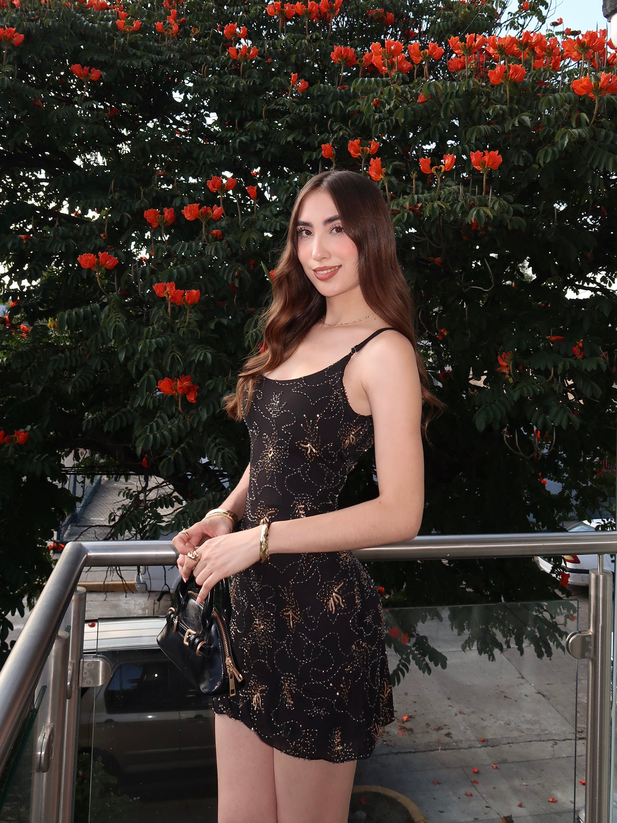 Vestido figuras chaquiras