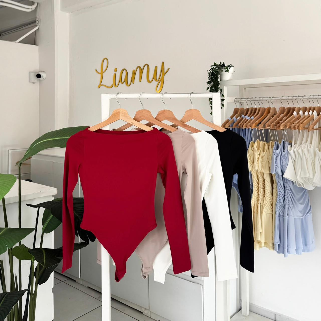 Pantiblusa clavículas manga larga